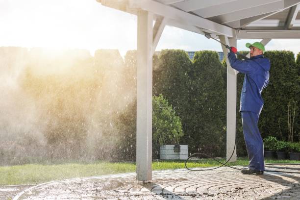 Best Sidewalk and Walkway Cleaning  in Indian Lake, MO