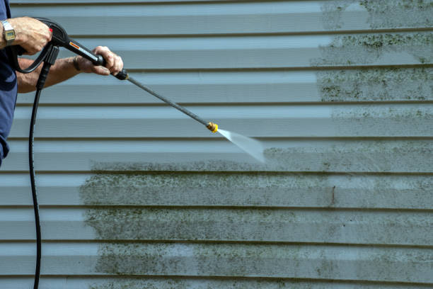 Best Solar Panel Cleaning  in Indian Lake, MO